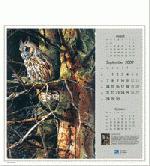 Calendar Page: 9