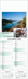 Calendar Page: 11