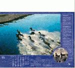 Calendar Page: 7