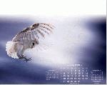 Calendar Page: 7