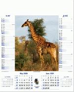 Calendar Page: 2